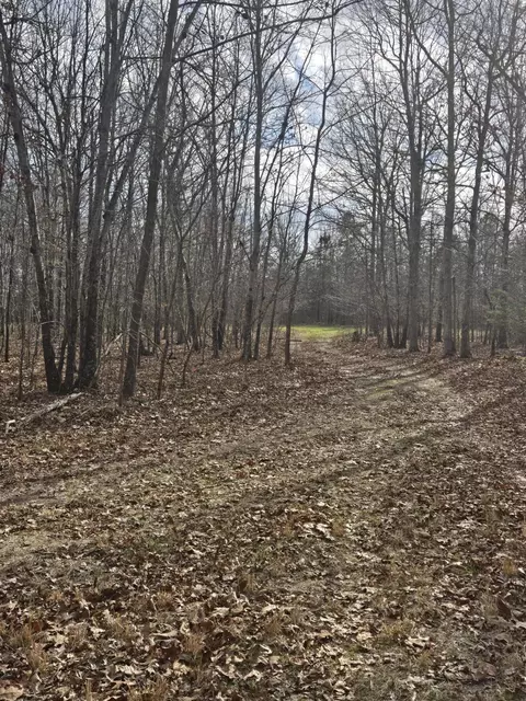 000 County Road T-435, Birch Tree, MO 65438 photo 7