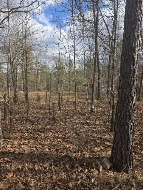 000 County Road T-435, Birch Tree, MO 65438 photo 17