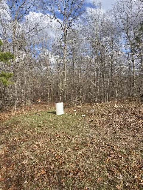 000 County Road T-435, Birch Tree, MO 65438 photo 15