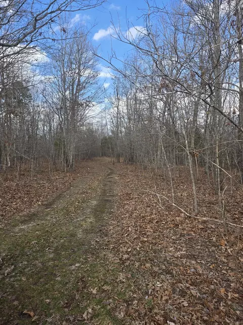 000 County Road T-435, Birch Tree, MO 65438 photo 5