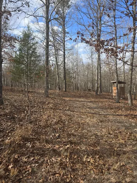 000 County Road T-435, Birch Tree, MO 65438 photo 14