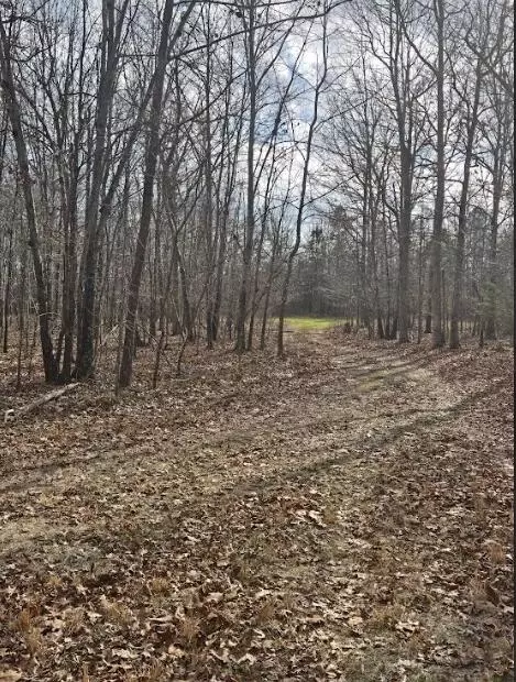 000 County Road T-435, Birch Tree, MO 65438 photo 10