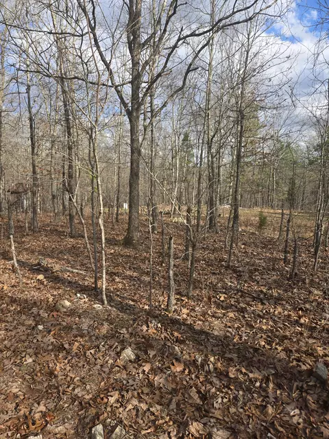 000 County Road T-435, Birch Tree, MO 65438 photo 3