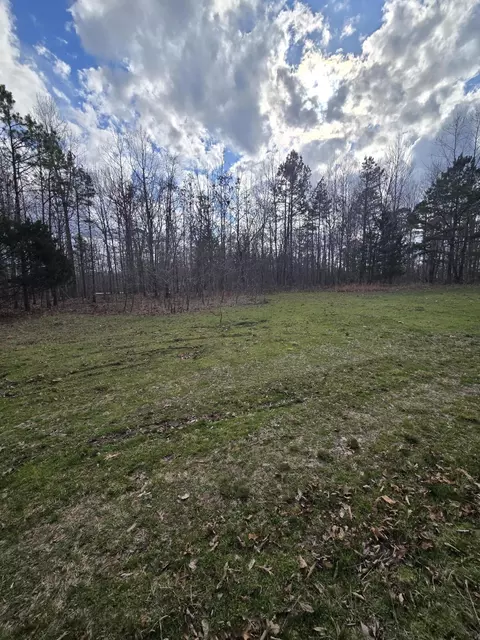 000 County Road T-435, Birch Tree, MO 65438