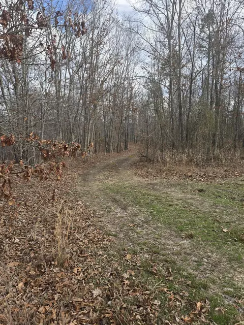 000 County Road T-435, Birch Tree, MO 65438 photo 8