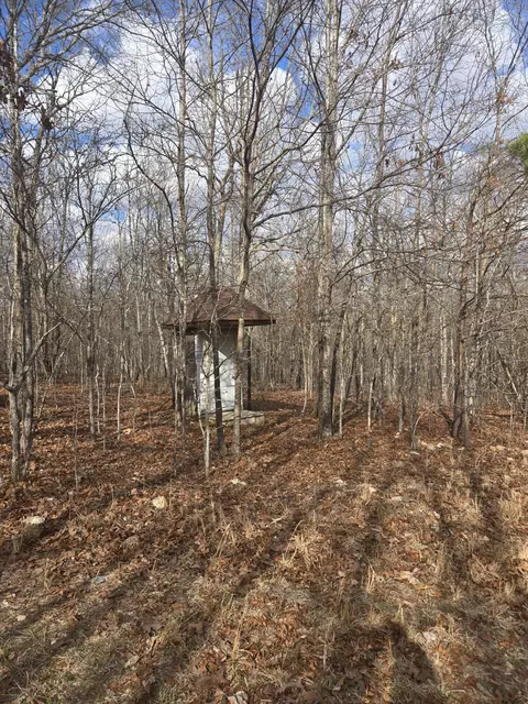 000 County Road T-435, Birch Tree, MO 65438 photo 12