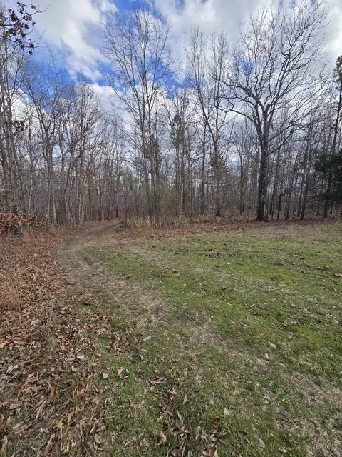 000 County Road T-435, Birch Tree, MO 65438 photo 4