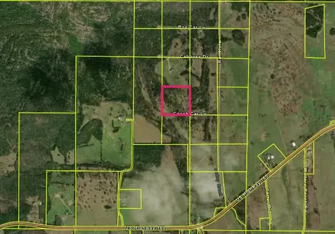 000 Rail Hollow Rnch #LOT 29, Theodosia, MO 65761