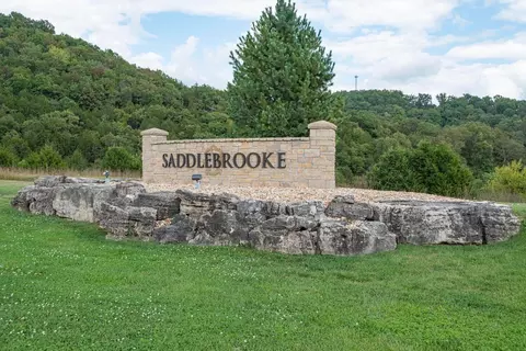 lot14 Appaloosa Trl, Saddlebrooke, MO 65630