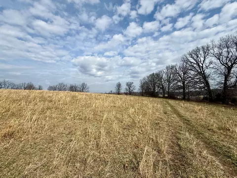 000 Barnum Dr #TRACT I, Cabool, MO 65689 photo 6
