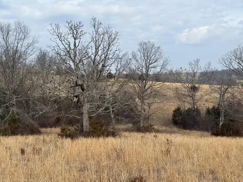 000 Barnum Dr #TRACT I, Cabool, MO 65689 photo 7