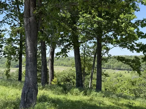 lot14 A Riverpointe Vw, Ozark, MO 65721 photo 7