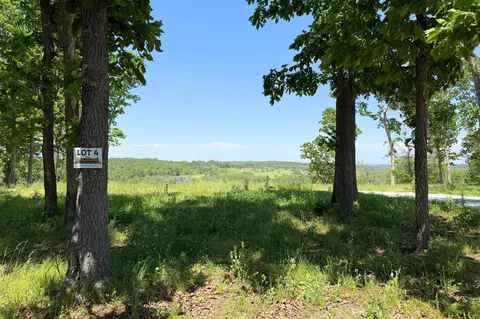 lot4 Riverpointe Vw, Ozark, MO 65721 photo 7