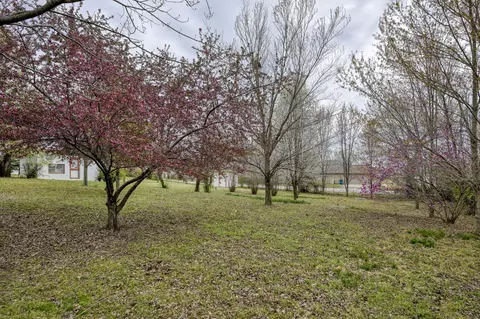 Exterior - 2736 E 15th St, Joplin, MO 64804 photo 31 of 46