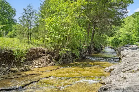 Other - 109 Cedar Blf, Saddlebrooke, MO 65630 photo 14 of 16