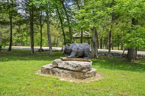 Other - 109 Cedar Blf, Saddlebrooke, MO 65630 photo 9 of 16
