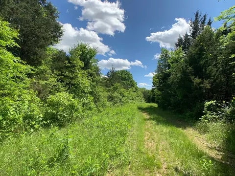 000 Farm Road 1280, Shell Knob, MO 65747 photo 7