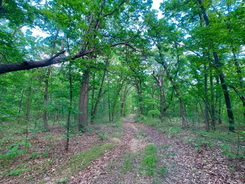 000 Farm Road 1280, Shell Knob, MO 65747 photo 61