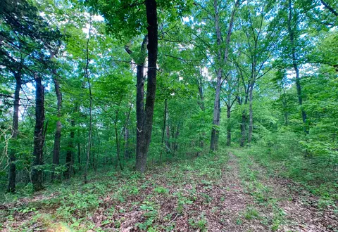 000 Farm Road 1280, Shell Knob, MO 65747 photo 22