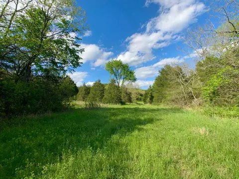 000 Farm Road 1280, Shell Knob, MO 65747 photo 47