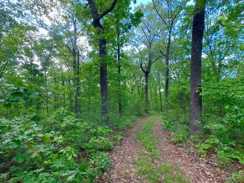 000 Farm Road 1280, Shell Knob, MO 65747 photo 59