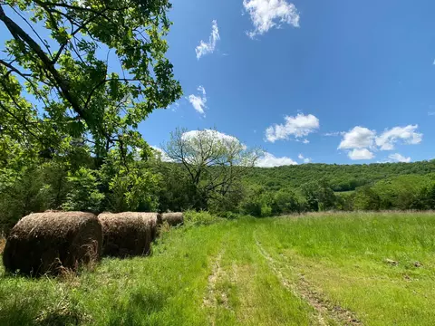 000 Farm Road 1280, Shell Knob, MO 65747 photo 4