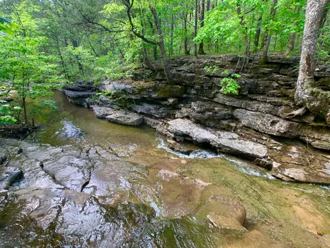 000 Farm Road 1280, Shell Knob, MO 65747 photo 39