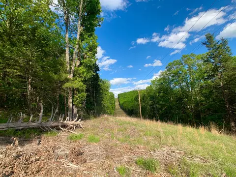 000 Farm Road 1280, Shell Knob, MO 65747 photo 49