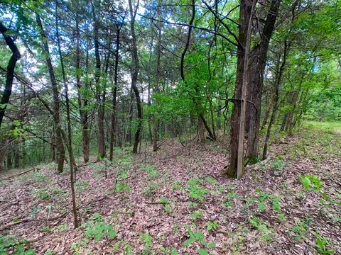 000 Farm Road 1280, Shell Knob, MO 65747 photo 20