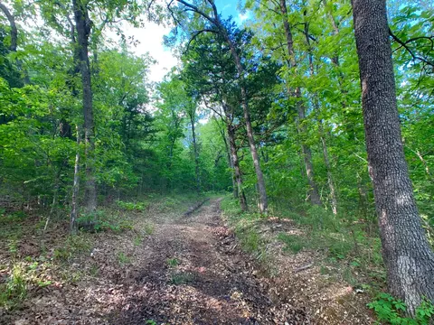 000 Farm Road 1280, Shell Knob, MO 65747 photo 50
