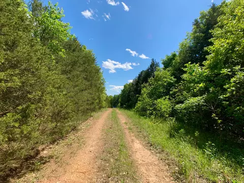 000 Farm Road 1280, Shell Knob, MO 65747 photo 10
