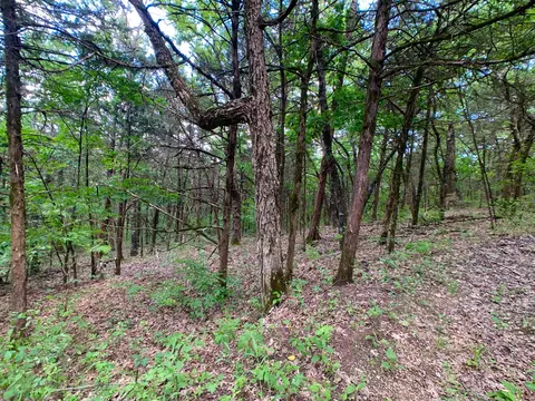 000 Farm Road 1280, Shell Knob, MO 65747 photo 19
