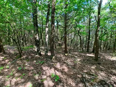 000 Farm Road 1280, Shell Knob, MO 65747 photo 27