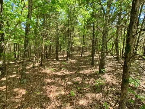 000 Farm Road 1280, Shell Knob, MO 65747 photo 9