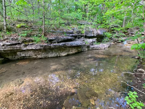 000 Farm Road 1280, Shell Knob, MO 65747 photo 41