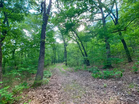 000 Farm Road 1280, Shell Knob, MO 65747 photo 52