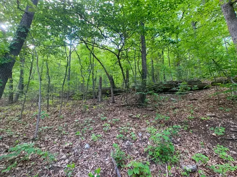 000 Farm Road 1280, Shell Knob, MO 65747 photo 53