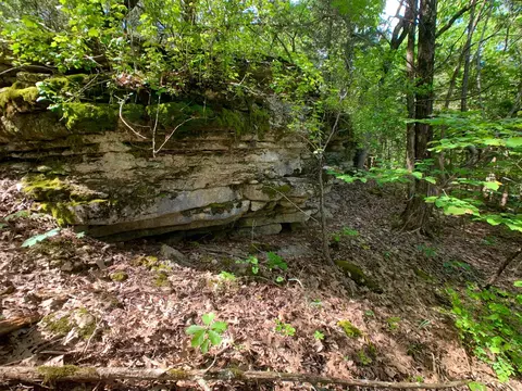 000 Farm Road 1280, Shell Knob, MO 65747 photo 25