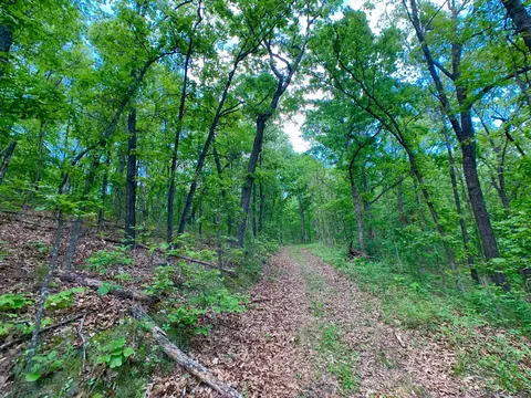000 Farm Road 1280, Shell Knob, MO 65747 photo 55