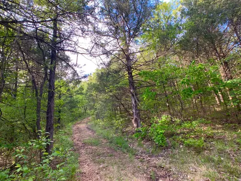 000 Farm Road 1280, Shell Knob, MO 65747 photo 48