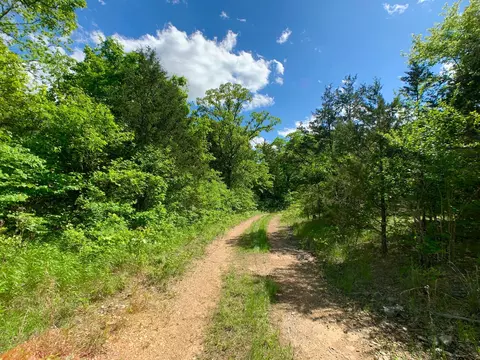 000 Farm Road 1280, Shell Knob, MO 65747 photo 18