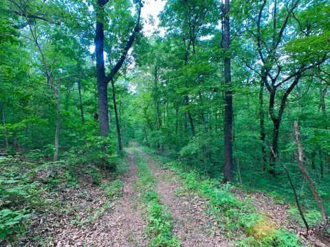 000 Farm Road 1280, Shell Knob, MO 65747 photo 60