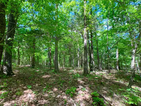 000 Farm Road 1280, Shell Knob, MO 65747 photo 11