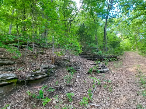 000 Farm Road 1280, Shell Knob, MO 65747 photo 54