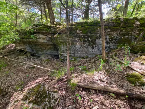 000 Farm Road 1280, Shell Knob, MO 65747 photo 26