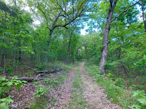 000 Farm Road 1280, Shell Knob, MO 65747 photo 51
