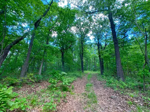 000 Farm Road 1280, Shell Knob, MO 65747 photo 56