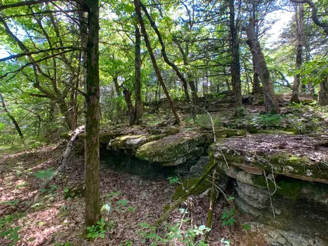 000 Farm Road 1280, Shell Knob, MO 65747 photo 24