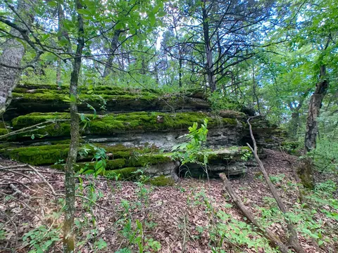 000 Farm Road 1280, Shell Knob, MO 65747 photo 21