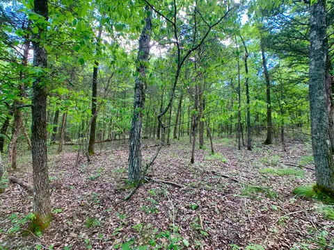 000 Farm Road 1280, Shell Knob, MO 65747 photo 12